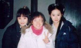 杨幂爆料合集视频在线,揭秘娱乐圈幕后故事